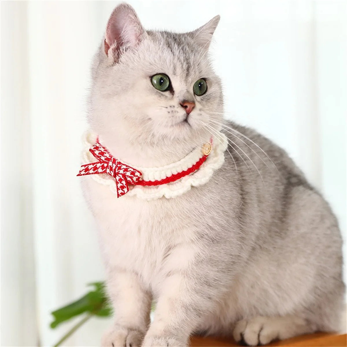 Adjustable Knitted Bowknot Collar For Puppies With Lace Decoration