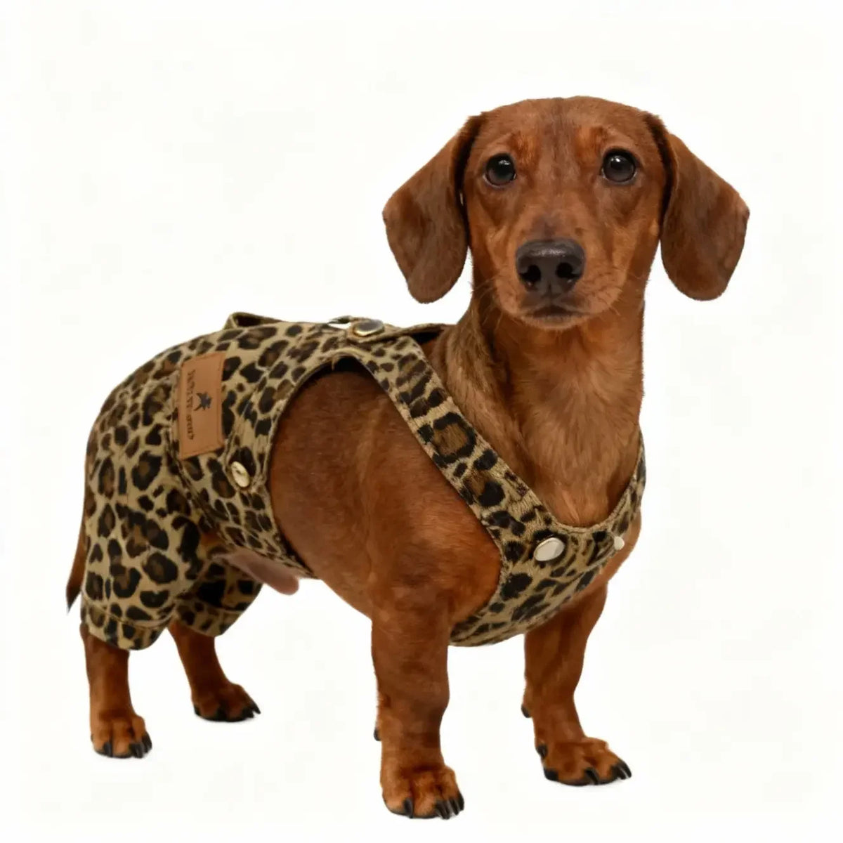 2026 new dog leopard camouflage pants, cute pet overalls for cats and dogs, summer breathable dog overalls, overalls for dachshunds and bulldogs, pet suites dog clothes