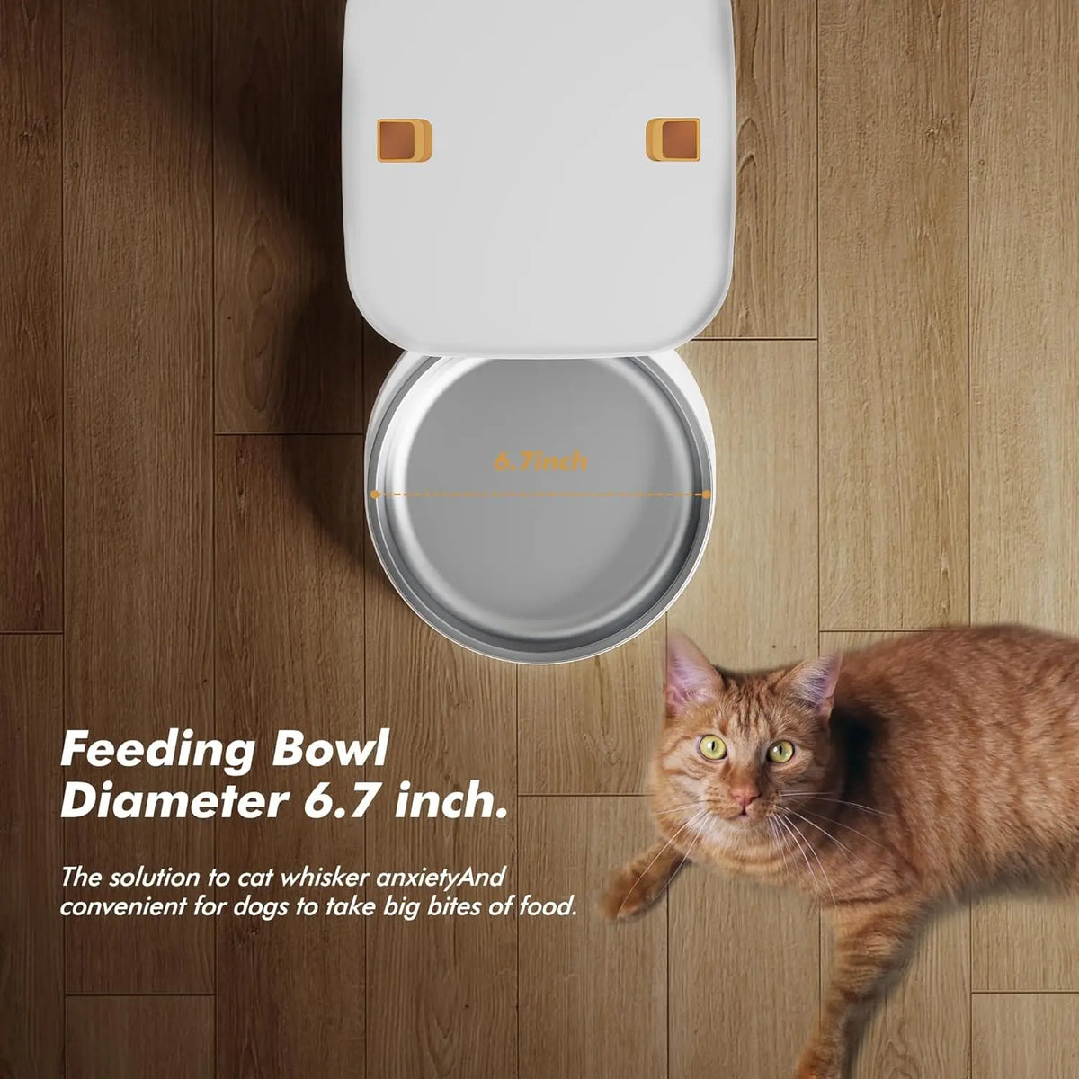 Nityers Cat Feeder With Voice Recorder And Stainless Steel Bowl