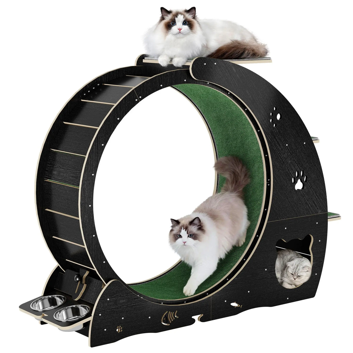 HiMISS Multifunctional Cat Exercise Wheel With Bowls And Scratch Post