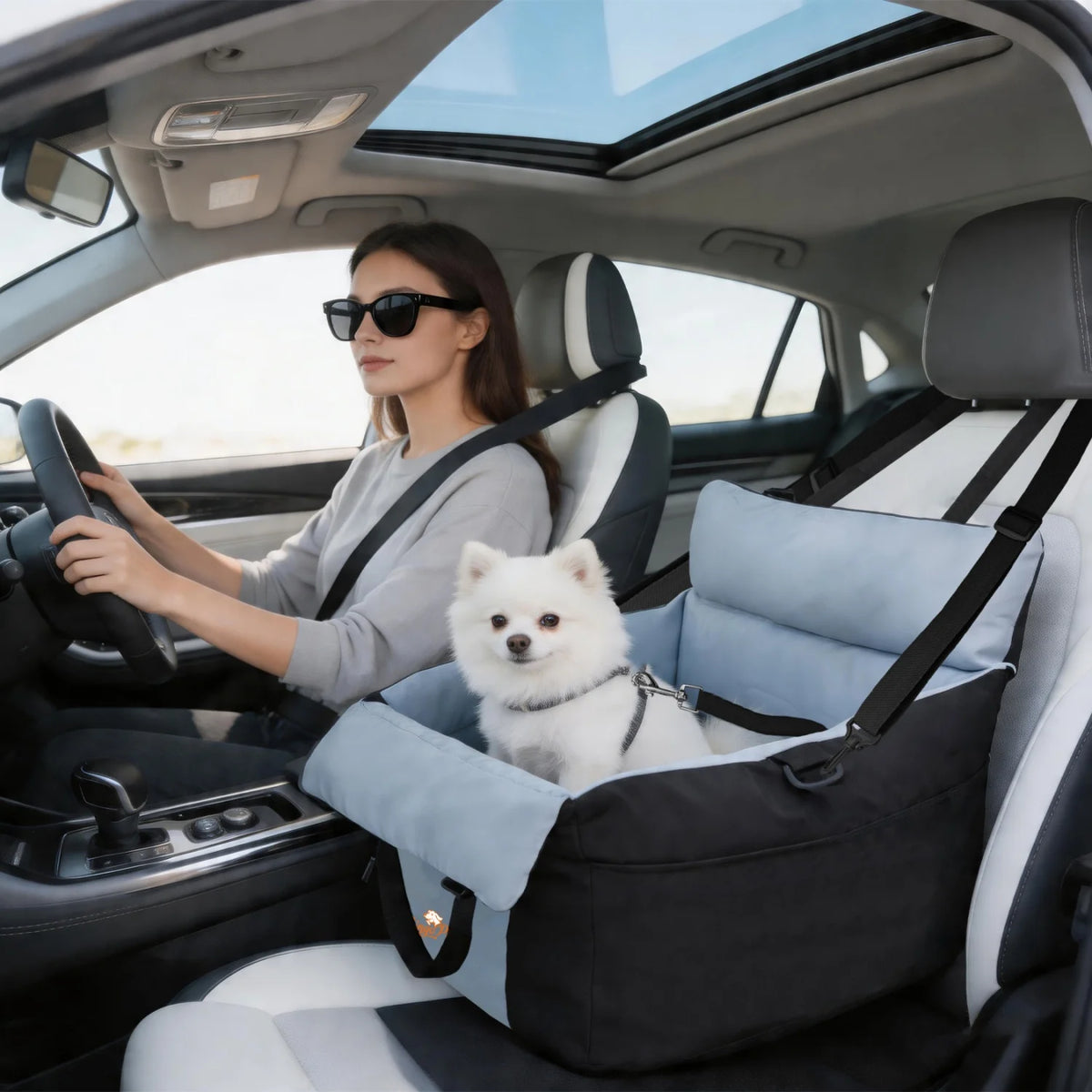 Bingopaw Washable Dog Car Seat With Breathable Cushion
