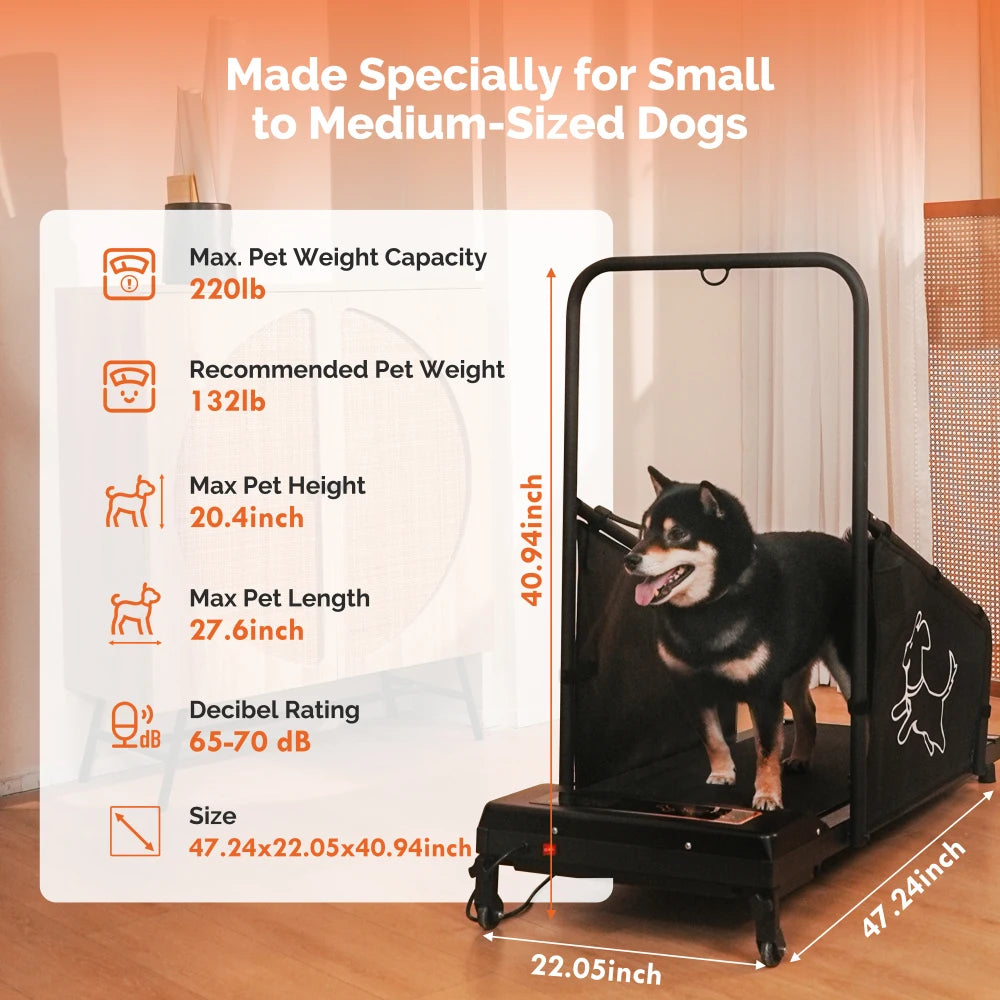 Indoor Electric Dog Treadmill For Pet Walking And Exercise