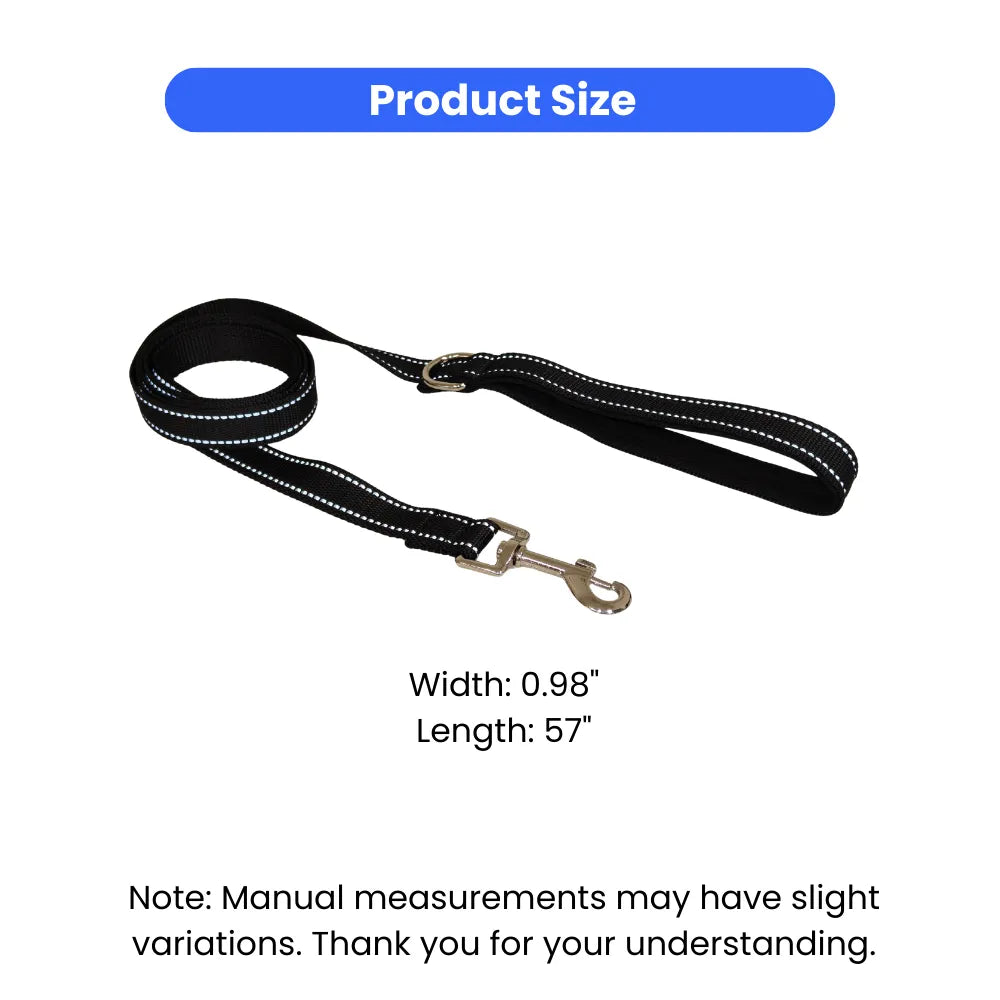 Reflective Nylon Dog Leash with Padded Handle and Metal Clip