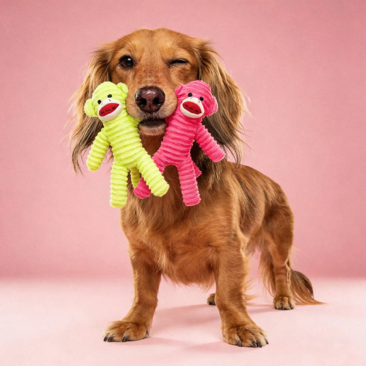 Plush Armadillo Squeaky Dog Toy For Chew And Dental Care