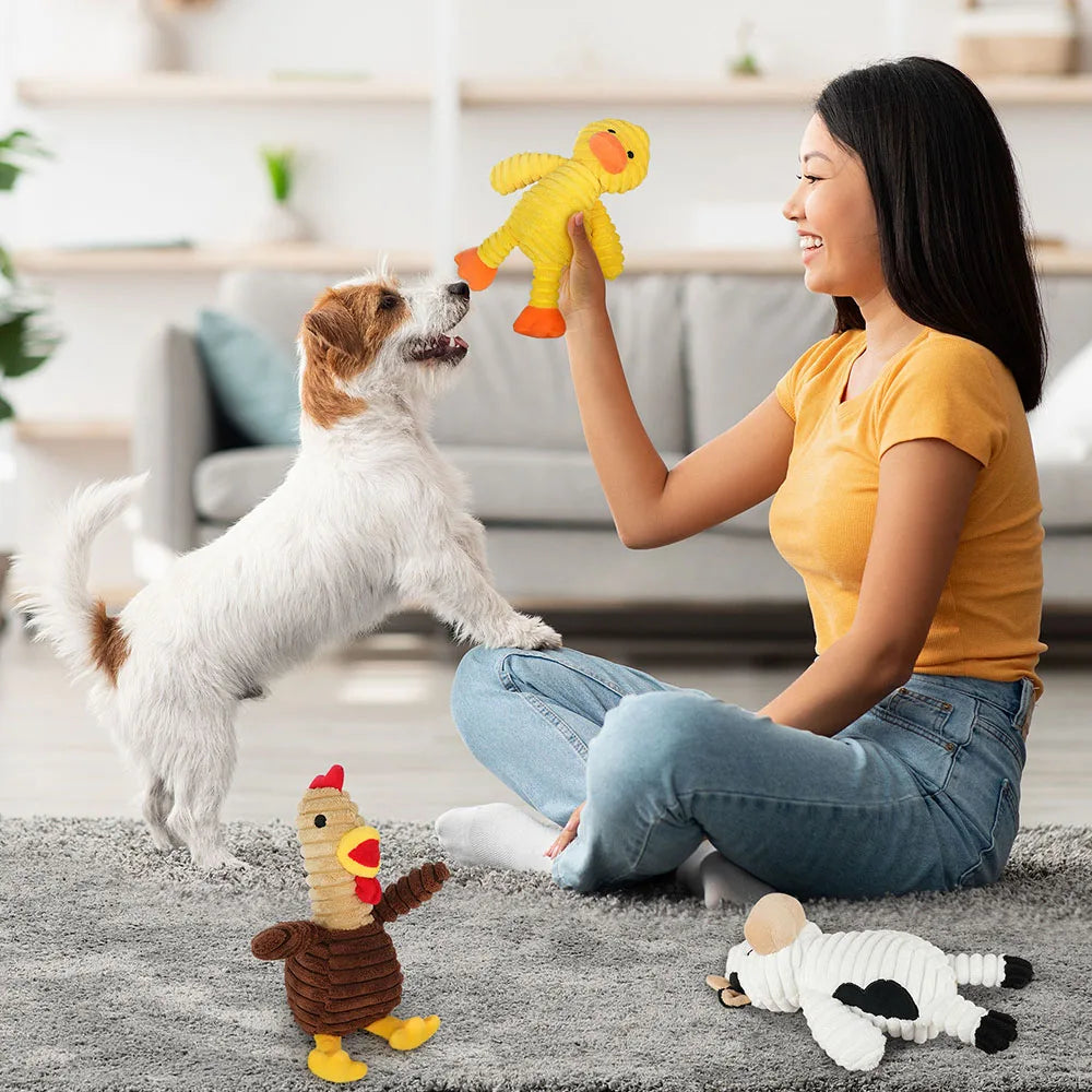 Premium Plush Squeaky Dog Chew Toy Assortment Bundle
