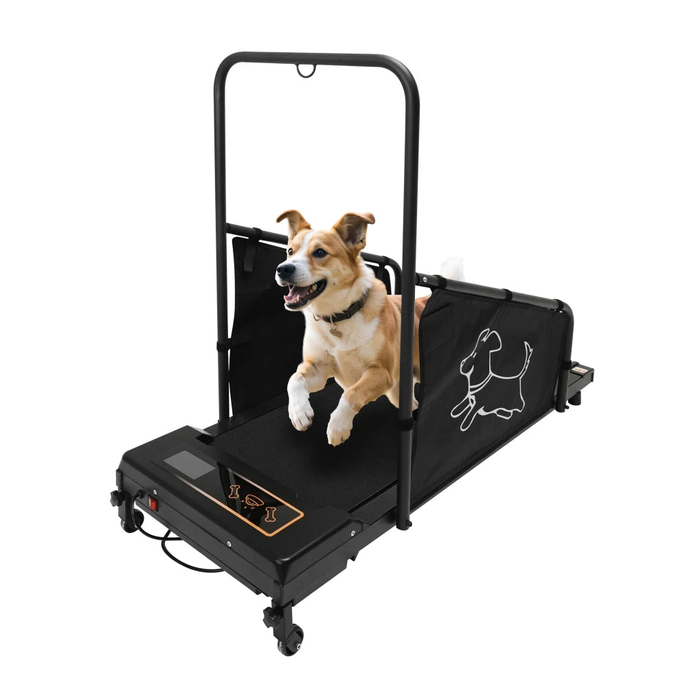 Indoor Electric Dog Treadmill For Pet Walking And Exercise