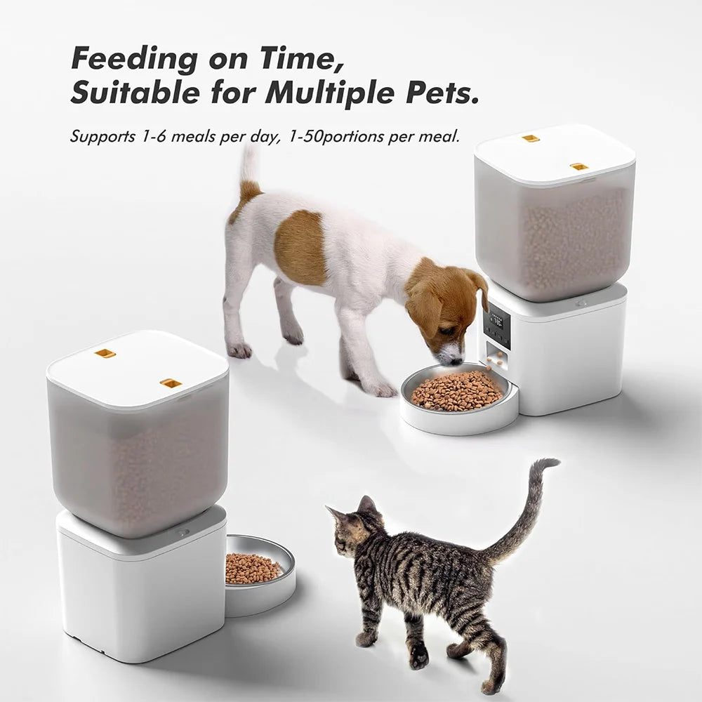 Nityers Cat Feeder With Voice Recorder And Stainless Steel Bowl