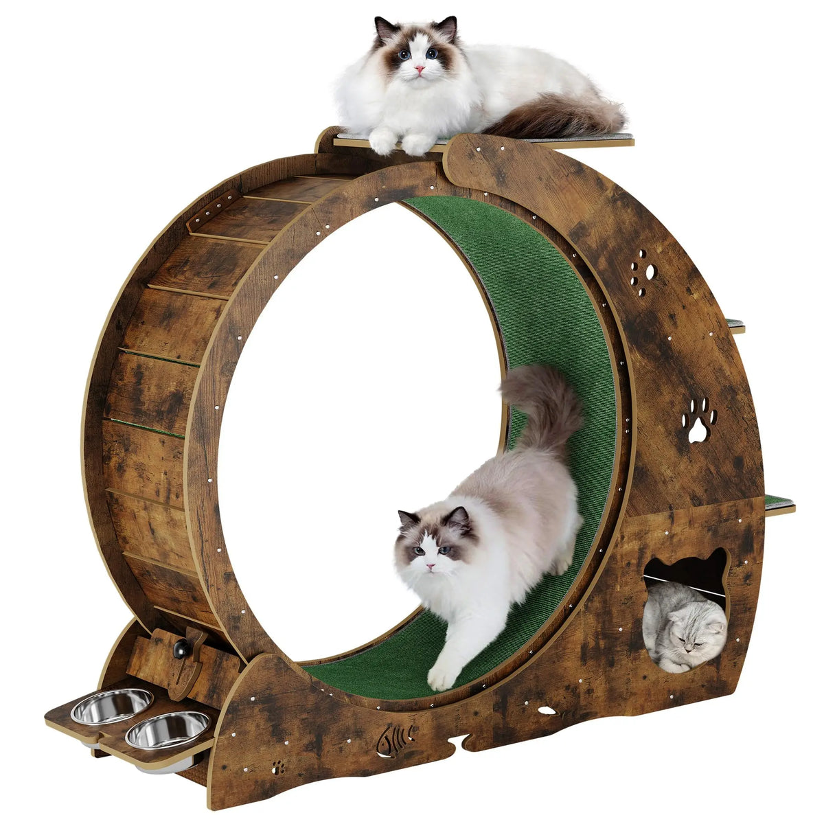 HiMISS Multifunctional Cat Exercise Wheel With Bowls And Scratch Post