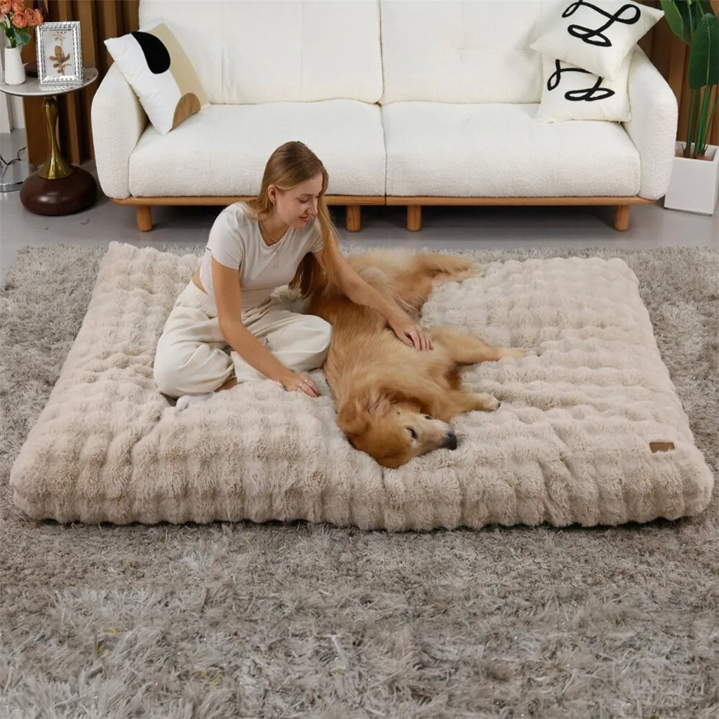 Borwart Ultra Plush Dog Bed With Removable Washable Cover