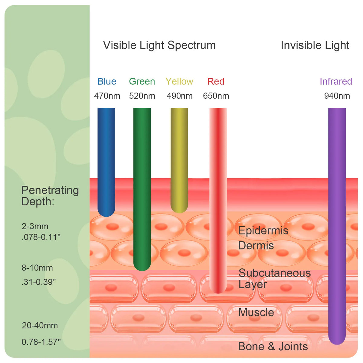 Advanced Pet Red Light Therapy Device For Joint Relief