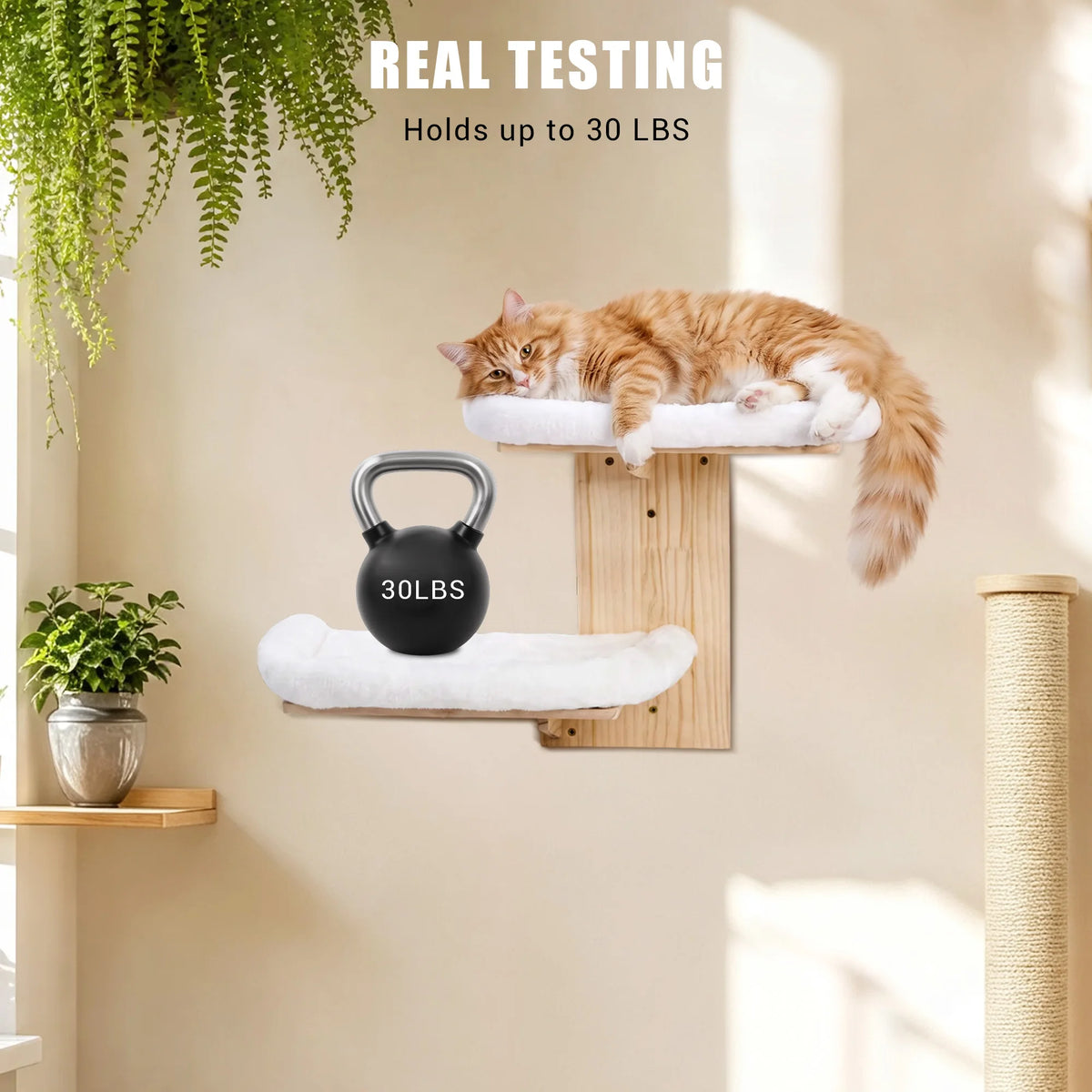 Solid Wood Wall Mounted Cat Bed With Washable Cushion Heavy Duty Hanging Cat Shelf Easy Install Corner Wall Furniture For Indoor Cats