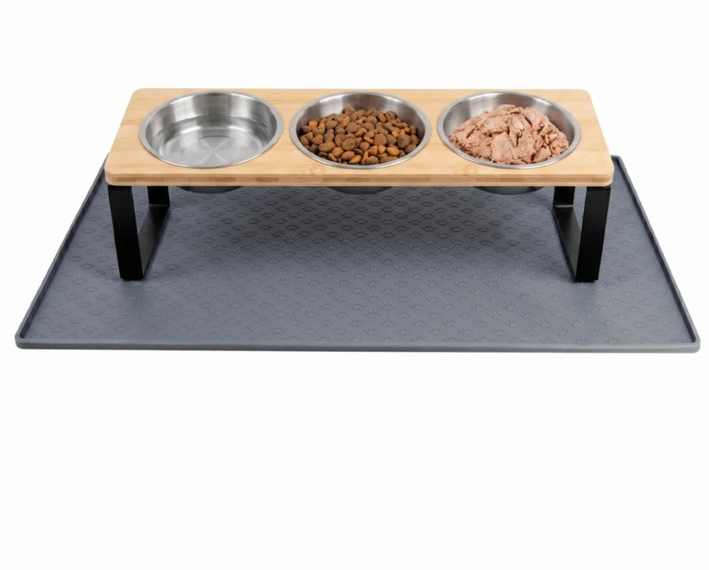 Premium Elevated Stainless Steel Pet Feeder Bowl Set