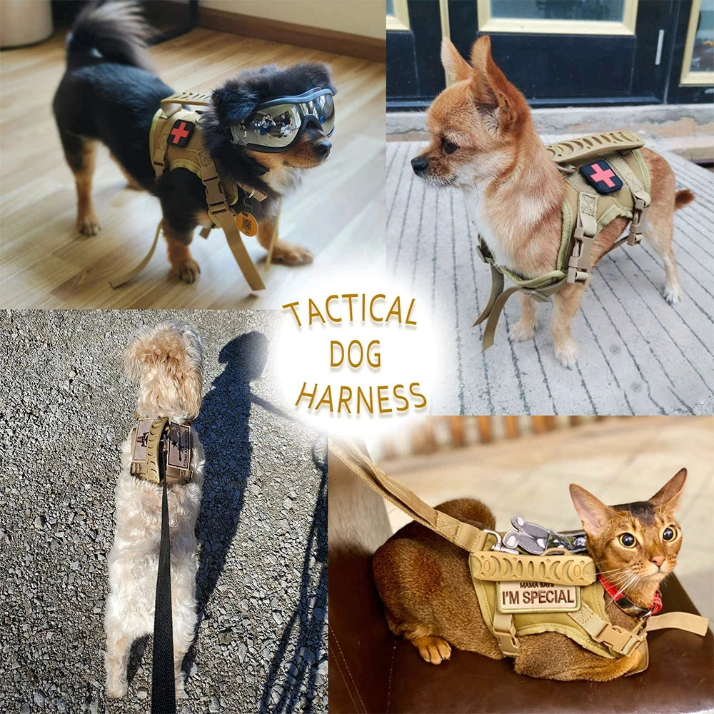 Petavel Tactical Dog Harness And Adjustable Leash Set For Small Dogs