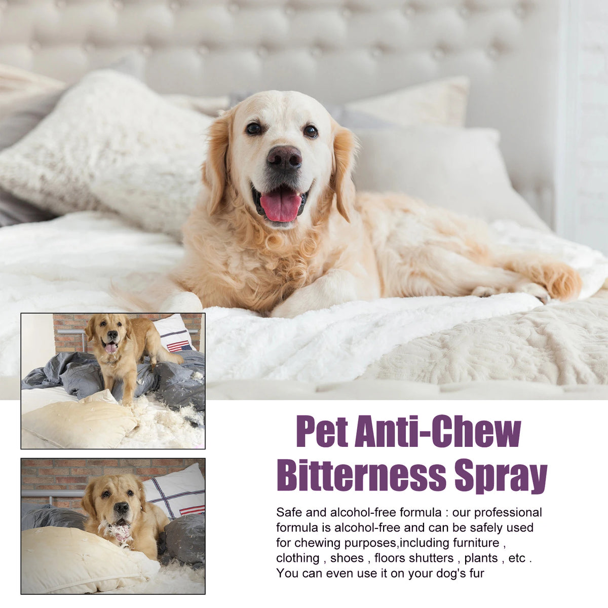 Pet Anti-Chew Bitter Spray, Dog Behavior Training Deterrent Spray, Stop Biting Chewing Scratching, Protect Furniture Shoes Household Items