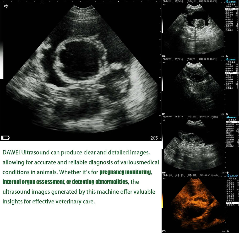 DAWEI Portable Veterinary Ultrasound Scanner For Animal Pregnancy Testing