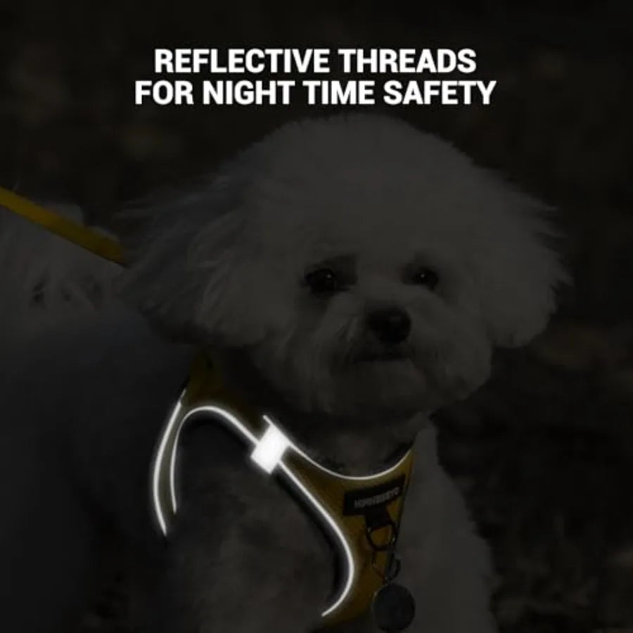 Dog Harness and Leash Set, Dog Harness for Dogs No Pull, No-Chock Step-in Reflective Breathable Lightweight Easy Walk Vest Harn