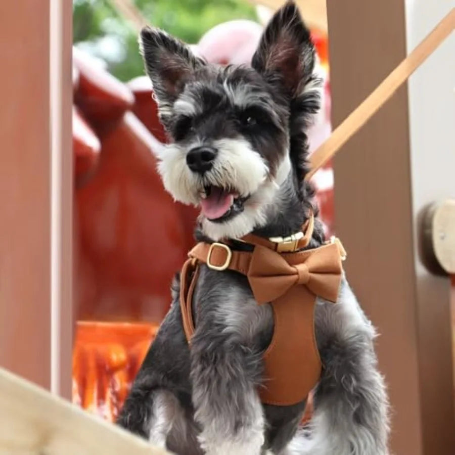 Adjustable Step In Dog Harness Collar And Leash Set