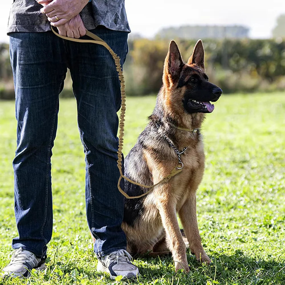 Pettravel Adjustable Nylon Dog Leash With Dual Handles