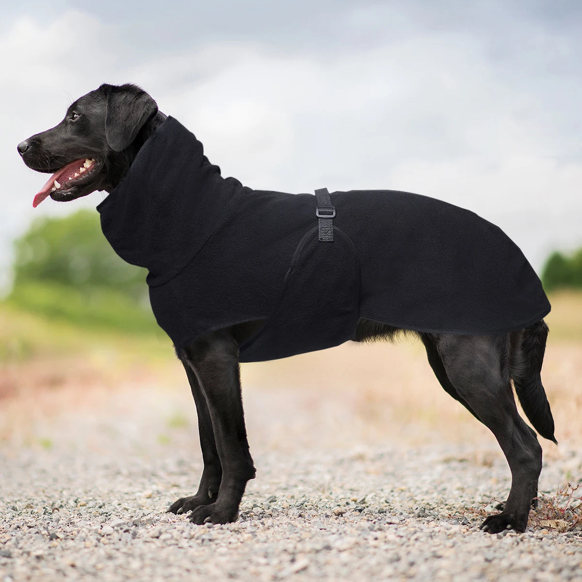 Warm Fleece Dog Coat for Whippets Greyhounds and Lurchers
