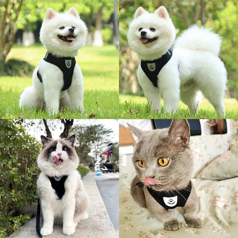 Adjustable Reflective Dog And Cat Harness Leash Walking Set