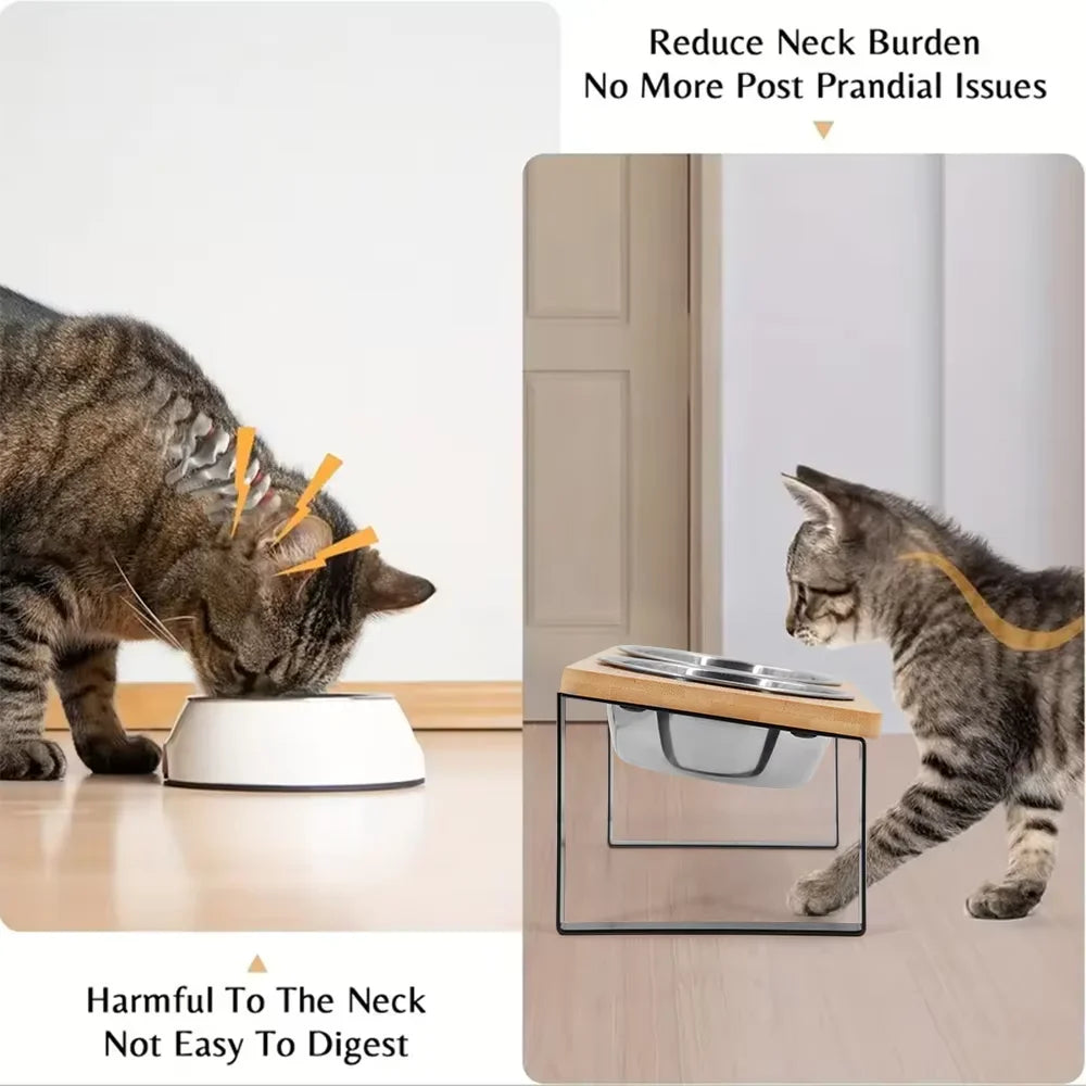 Stainless Steel Elevated Cat Food Bowl Set With Wooden Stand