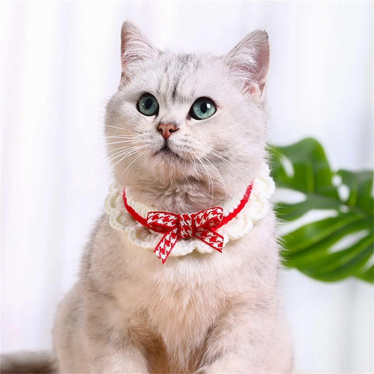 Adjustable Knitted Bowknot Collar For Puppies With Lace Decoration