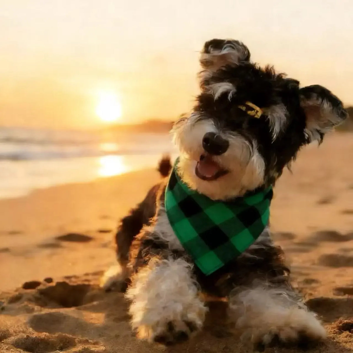 Soft Washable Plaid Pet Scarf Set, 2 Pieces, Suitable for Dogs and Cats, Perfect for Birthday Parties and Special Occasions