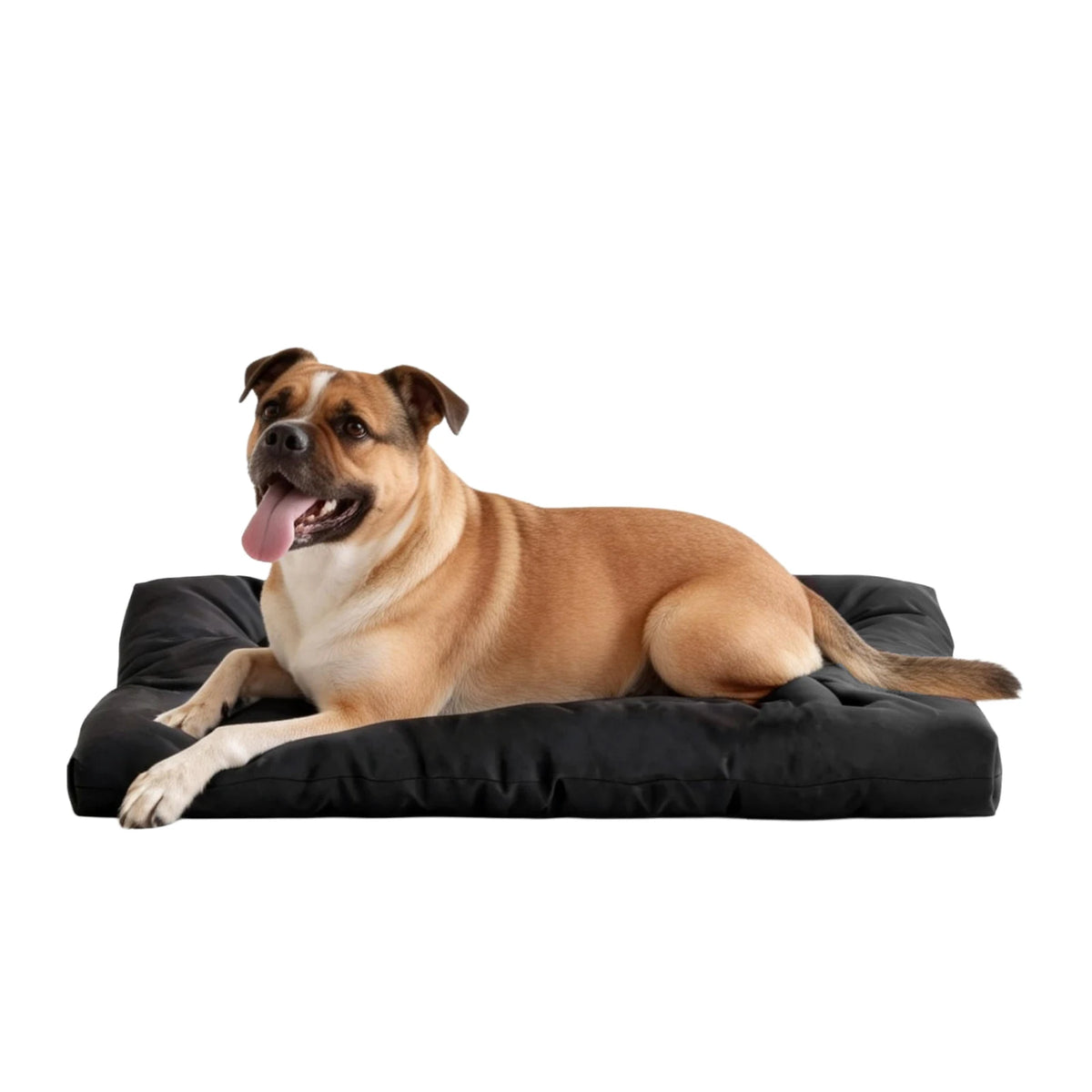 Indestructible Chew Proof Dog Bed For Crate And Kennel