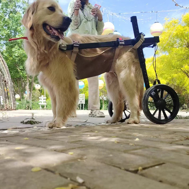 Adjustable Dog Wheelchair For Back Legs Support And Therapy