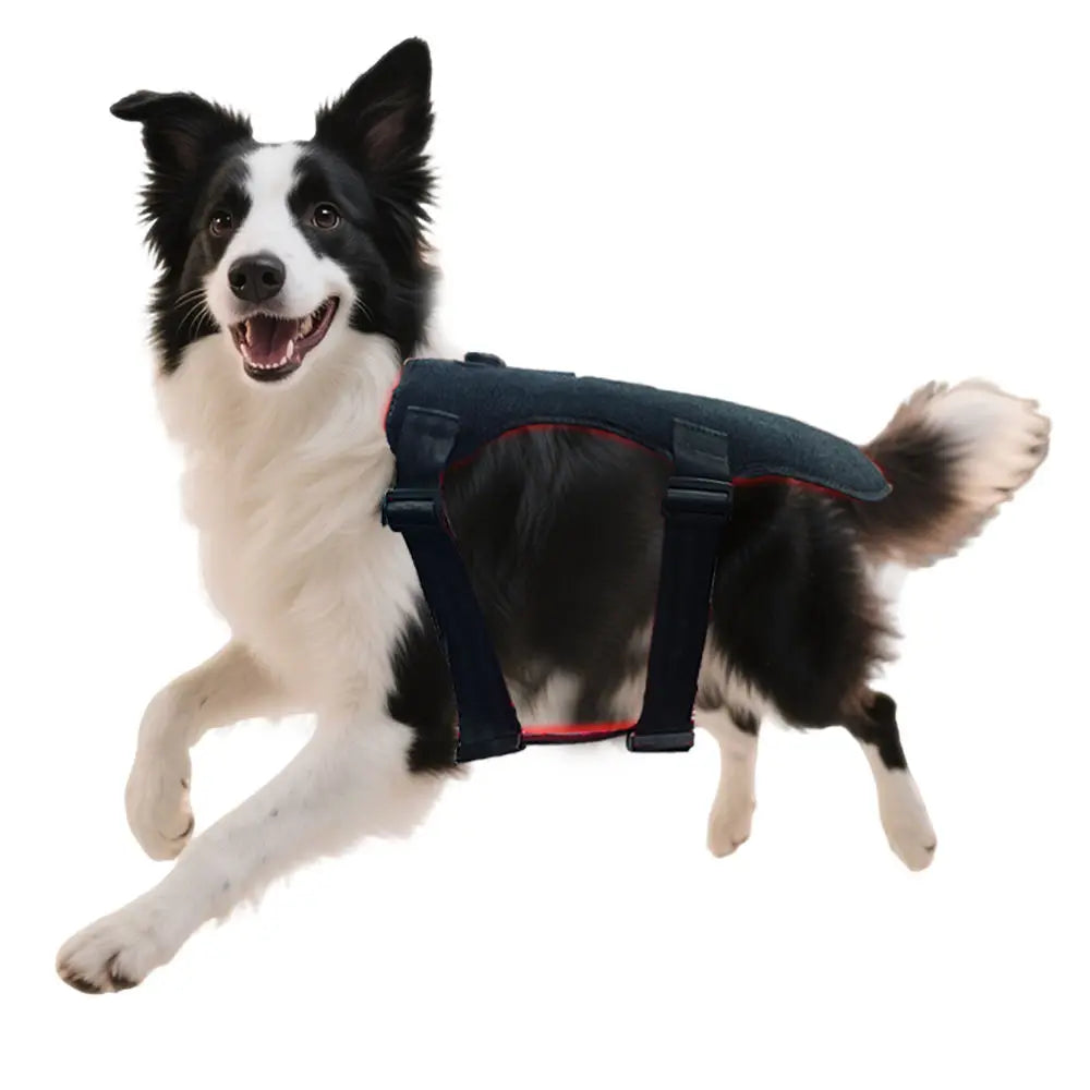 Pets Red Light Therapy Belt, LED Infrared Light Therapy for Dog and Cat with 168 LEDs 660&850 nm,Wearable Device for Pain Relief