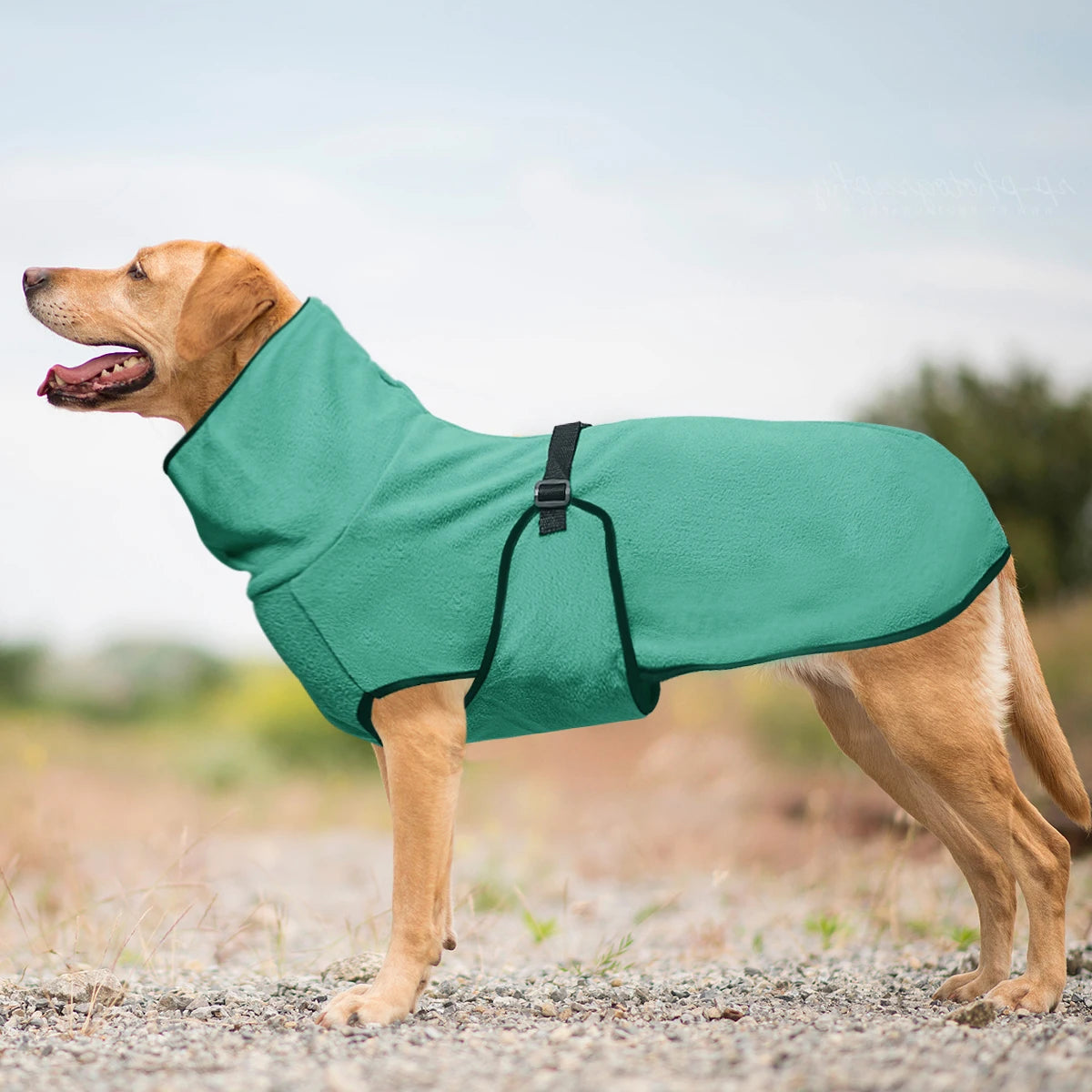 Warm Fleece Dog Coat for Whippets Greyhounds and Lurchers