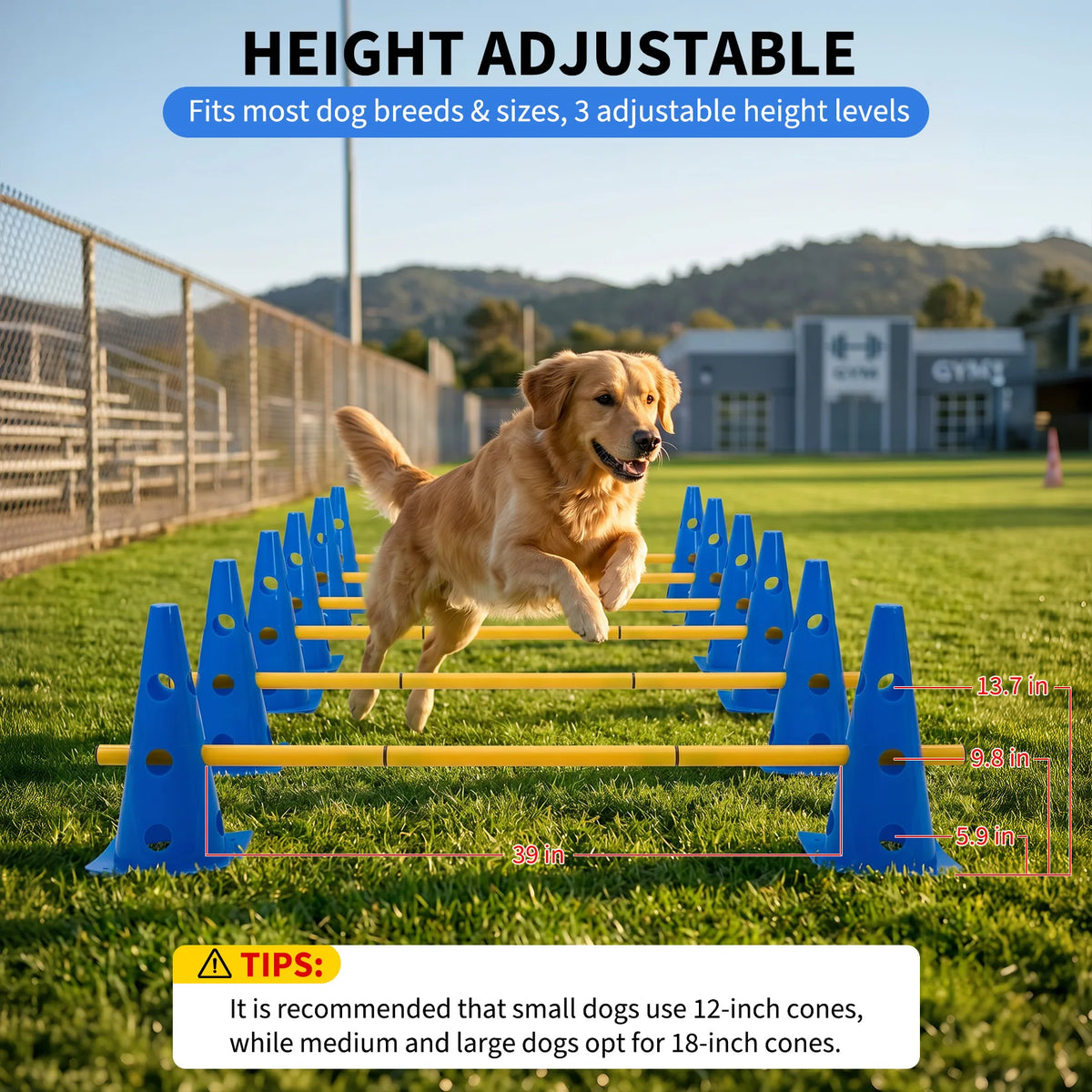 Dog Agility Training Set With Adjustable Hurdles And Cones