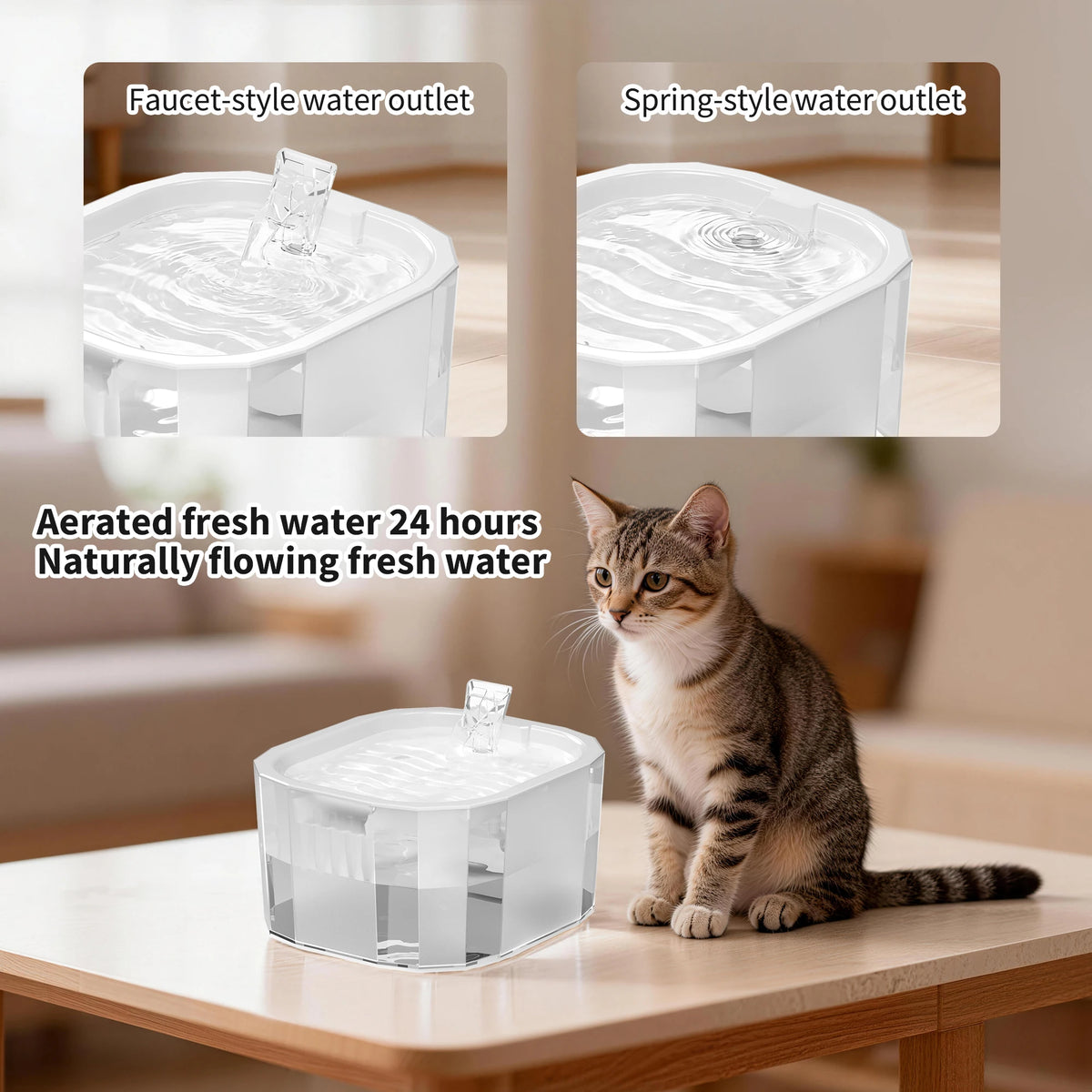 Automatic Cat Water Fountain And Feeder With Silent USB Pump