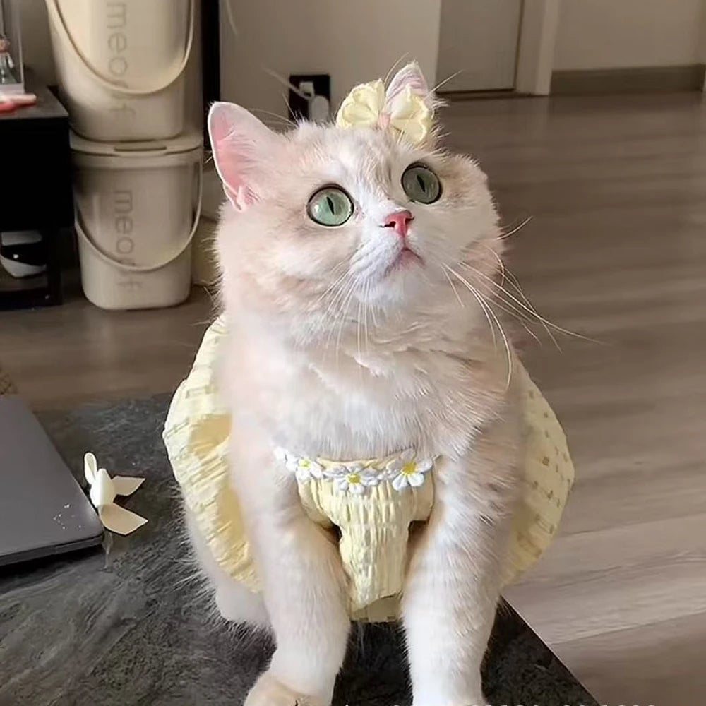 Breathable Floral Wreath Collar Dress for Cats and Small Dogs