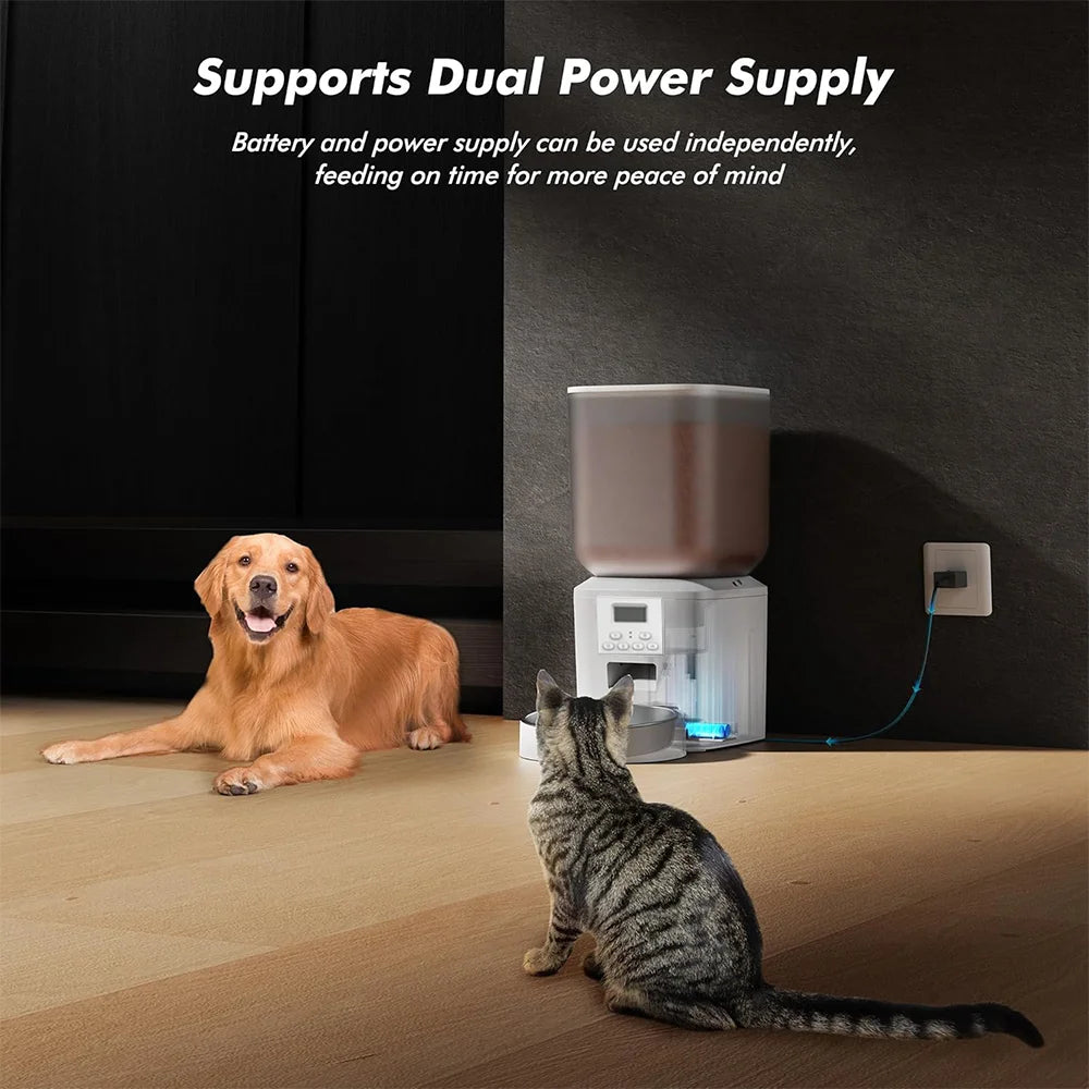 Nityers Cat Feeder With Voice Recorder And Stainless Steel Bowl